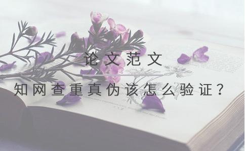學術(shù)查重真?zhèn)卧撛趺打炞C