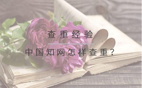 中國學術怎樣查重？