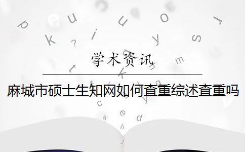 麻城市碩士生學術如何查重？綜述查重嗎？