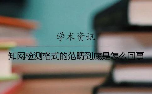 學(xué)術(shù)檢測格式的范疇到底是怎么回事？
