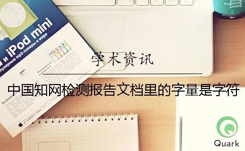 中國學術檢測報告文檔里的字量是字符數還是字量
