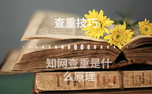 學術查重是什么原理