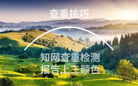 學術查重檢測報告上三種顏色分別是什么意思