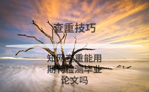 學術查重能用期刊檢測畢業論文嗎