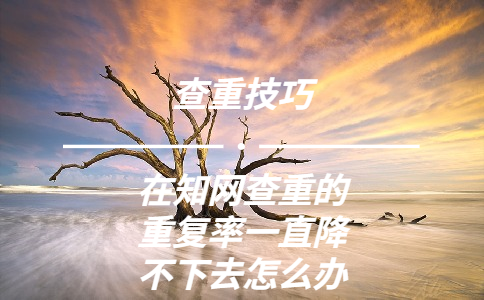 在學術查重的重復率一直降不下去怎么辦啊