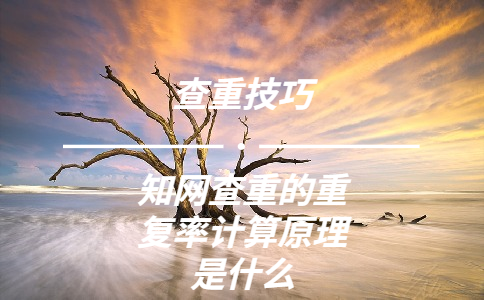 學(xué)術(shù)查重的重復(fù)率計(jì)算原理是什么