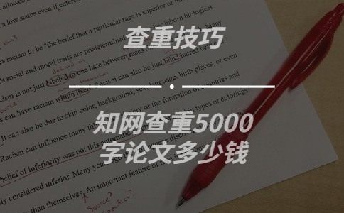 學術查重5000字論文多少錢