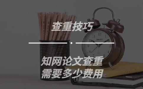 學術的論文查重需要多少費用