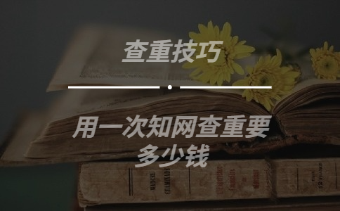 用一次學術查重要多少錢