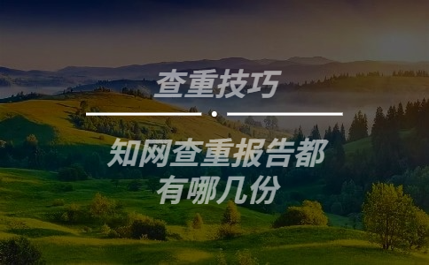 學術(shù)查重報告都有哪幾份