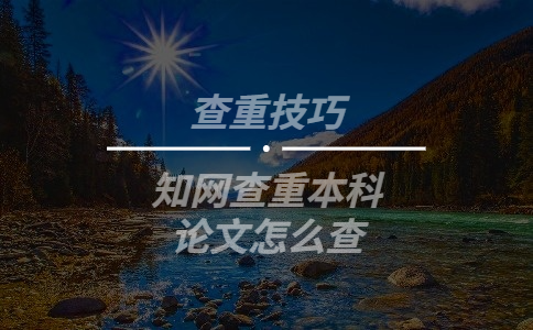學術查重本科論文怎么查