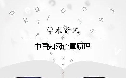 中國學術查重原理