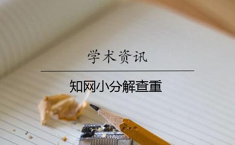 學(xué)術(shù)小分解查重