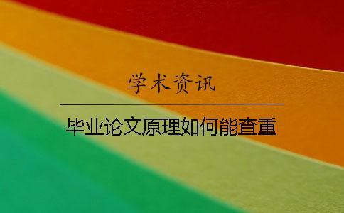 畢業論文原理如何能查重