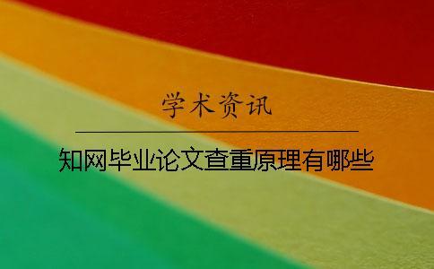 學(xué)術(shù)畢業(yè)論文查重原理有哪些