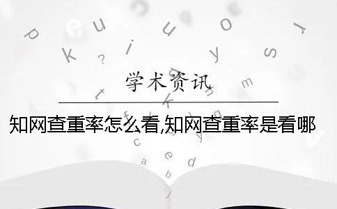 學術查重率怎么看,學術查重率是看哪個